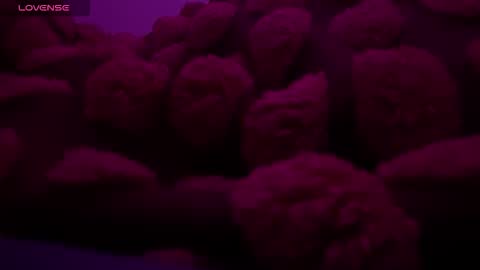 Snapshot of bukkakebae chatting on 11/15/25, 12:30 bukkakebae online show from 11/15/25, 12:30