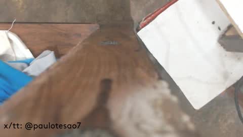 buldgeinboxer online show from 02/17/25, 07:21