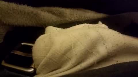 Snapshot of bulkyboners chatting on 02/07/26, 07:01 ejaculation for 250 online show from 02/07/26, 07:01