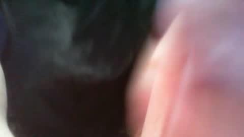 bullemoe online show from 03/08/25, 07:05