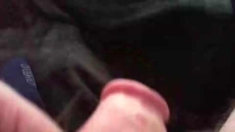 bullemoe online show from 11/09/25, 11:41