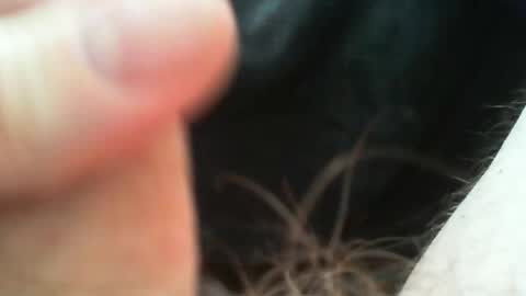 bullemoe online show from 04/27/26, 11:52