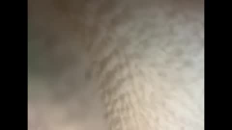 Snapshot of bullhungcub chatting on 12/05/24, 11:40 bull cub online show from 12/05/24, 11:40