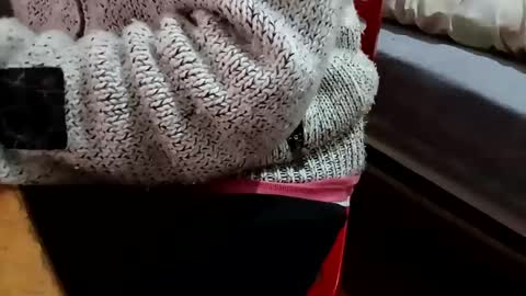 bullspain27266272 online show from 02/05/25, 10:22