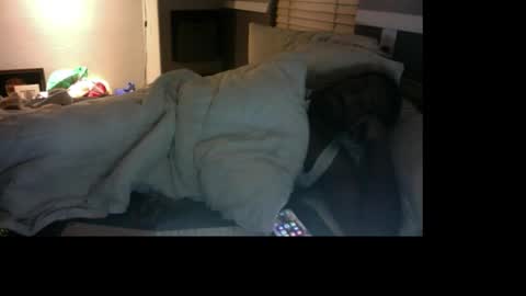 Bungalow Entertainment online show from 12/17/25, 11:16