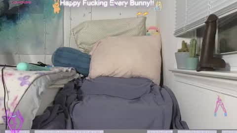 Tokki  bunny  online show from 12/04/24, 11:24