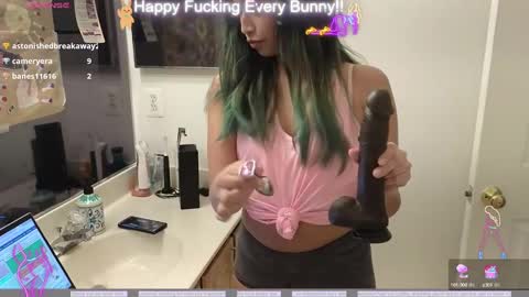 Tokki  bunny  online show from 12/05/24, 11:07