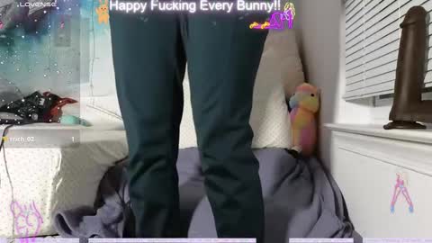 Tokki  bunny  online show from 12/12/24, 02:37