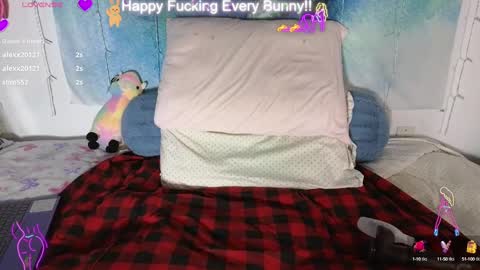 Tokki  bunny  online show from 01/28/25, 02:00