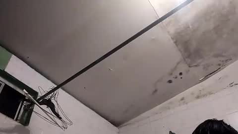 Snapshot of bunnychocolatte151671 chatting on 11/30/25, 05:00 bunnychocolatte69 online show from 11/30/25, 05:00