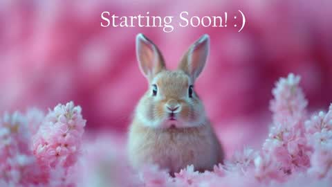Snapshot of bunnydollstella chatting on 05/10/26, 09:53 Stella online show from 05/10/26, 09:53