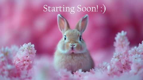 Snapshot of bunnydollstella chatting on 05/20/26, 10:05 Stella online show from 05/20/26, 10:05