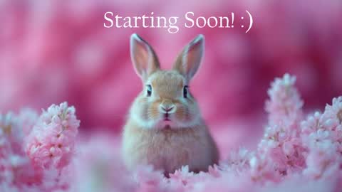 Snapshot of bunnydollstella chatting on 06/05/26, 12:06 Stella online show from 06/05/26, 12:06