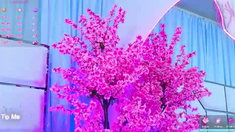 Bunny online show from 03/04/26, 03:12