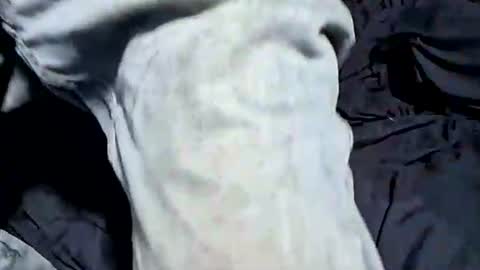 Snapshot of buster18hymen chatting on 10/21/25, 07:36 Buster18Hymen online show from 10/21/25, 07:36