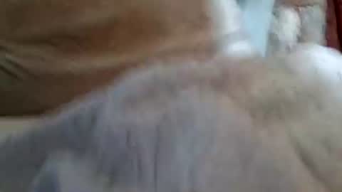 Buster18Hymen online show from 02/01/26, 10:08