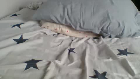 Jojo online show from 04/14/26, 05:08