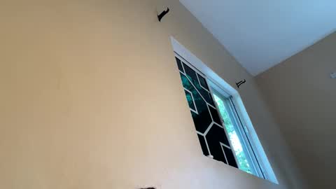 bustyirie online show from 04/09/26, 02:55