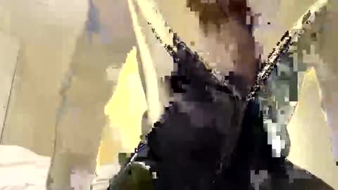Snapshot of buynowlive chatting on 05/18/26, 03:18 buynowlive online show from 05/18/26, 03:18