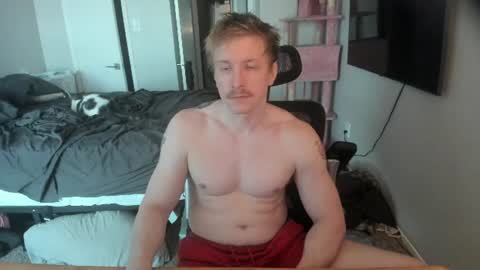 Snapshot of c00ki3m0nstr chatting on 06/19/26, 09:29 c00ki3m0nstr online show from 06/19/26, 09:29