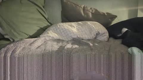 1DontR3member online show from 01/14/26, 08:53