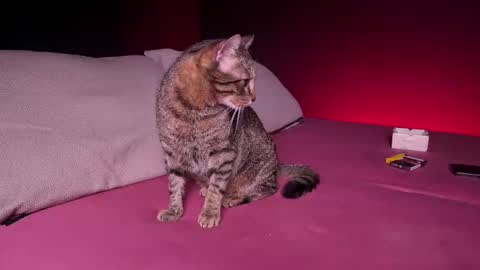 CQ online show from 02/24/25, 07:44