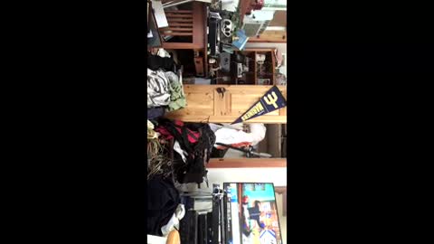 cabana1965 online show from 03/02/26, 03:41