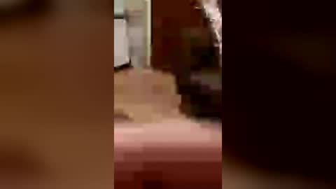 cachondo22fu online show from 07/26/26, 02:42