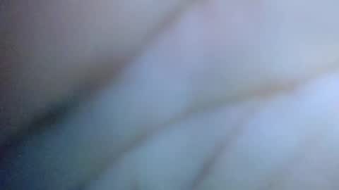 Snapshot of cactus_1041 chatting on 06/15/26, 07:43 Cactus1041 online show from 06/15/26, 07:43