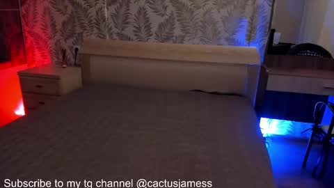 Snapshot of cactusjames_69 chatting on 10/15/25, 11:05 James online show from 10/15/25, 11:05