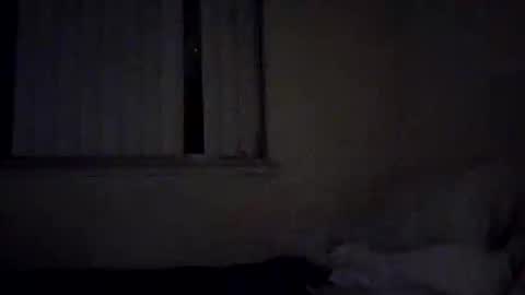 caga_palos online show from 02/17/26, 04:31