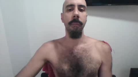 Will caibra find a sugar daddy or sugar mommy online show from 11/20/25, 01:55