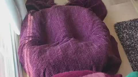 Snapshot of caked_up chatting on 03/24/26, 12:26 Caked Up online show from 03/24/26, 12:26