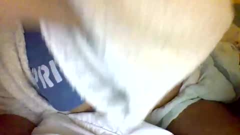 Caligurl   Queen    Head Fluffer In Charge  Goddess of Cocktease   Mistress of Holes online show from 01/05/25, 05:41