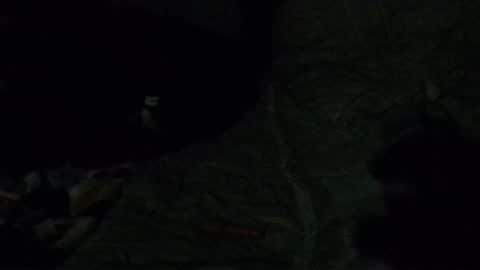 Calisguitar online show from 12/29/24, 07:39