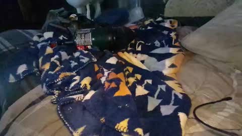 Calisguitar online show from 12/29/24, 09:30