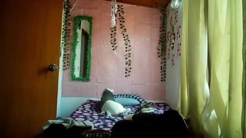 paula online show from 04/20/26, 09:16