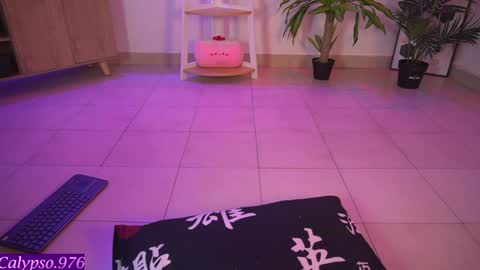 Calypso and Kayla online show from 02/04/25, 05:21