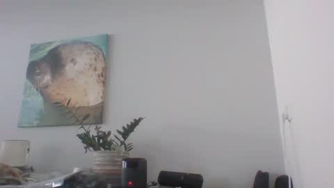 Dave online show from 12/12/24, 12:44