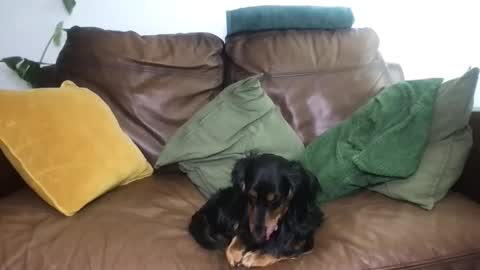 CamDoAttitude online show from 04/18/26, 11:58