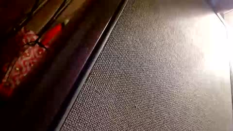 cameonu online show from 01/12/26, 05:56