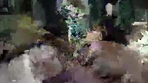 Snapshot of cameronrays chatting on 04/25/26, 11:57 CameronRays online show from 04/25/26, 11:57