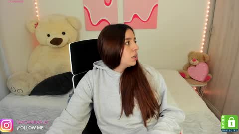 Snapshot of camila_ec2 chatting on 12/19/24, 02:23 C A M I online show from 12/19/24, 02:23