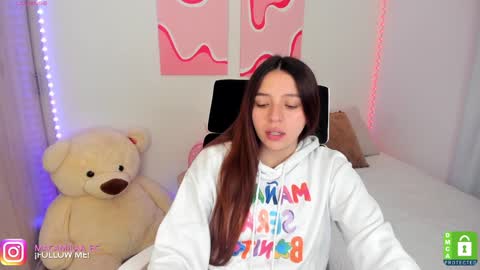 Snapshot of camila_ec2 chatting on 01/04/25, 11:38 C A M I online show from 01/04/25, 11:38