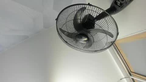 Camila  online show from 04/22/26, 03:09