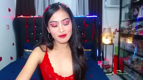 Snapshot of camilla_morena chatting on 02/14/25, 03:11 camilla_morena online show from 02/14/25, 03:11