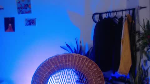  Camille   online show from 01/27/25, 11:00