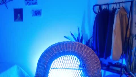  Camille   online show from 01/31/25, 10:52