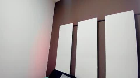  CAMI  online show from 02/17/26, 10:56