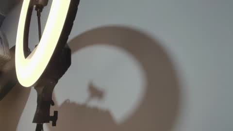 CAMILO  online show from 03/15/26, 01:06